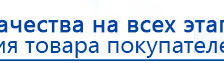 ДЭНАС-ПКМ (Детский доктор, 24 пр.) купить в Березовском, Аппараты Дэнас купить в Березовском, Официальный сайт Дэнас kupit-denas.ru